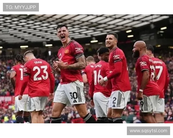 曼联计划引援中场目标锁定安德森沃顿和巴莱巴